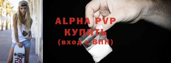 прущие грибы Киренск