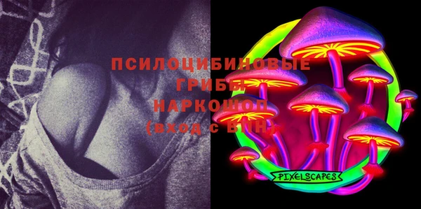 прущие грибы Киренск