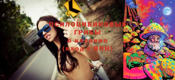 прущие грибы Киренск