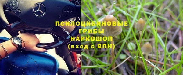 прущие грибы Киренск