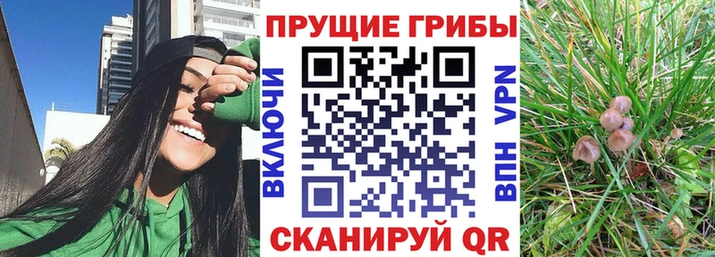 где купить наркоту  kraken зеркало  Псилоцибиновые грибы Magic Shrooms  Чапаевск 