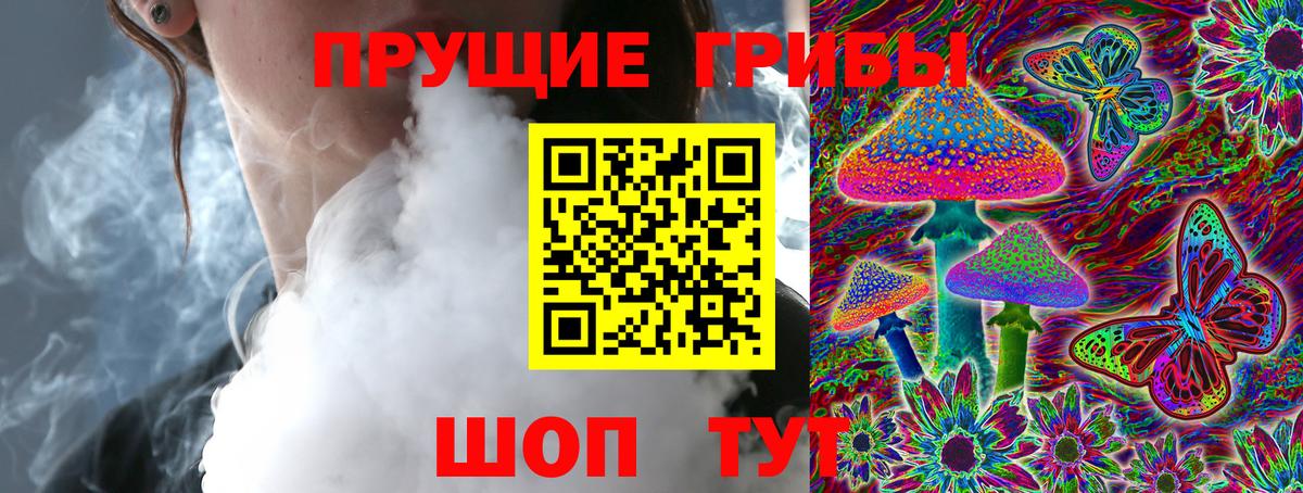 Галлюциногенные грибы Cubensis  Галлюциногенные грибы прущие грибы  Чапаевск 