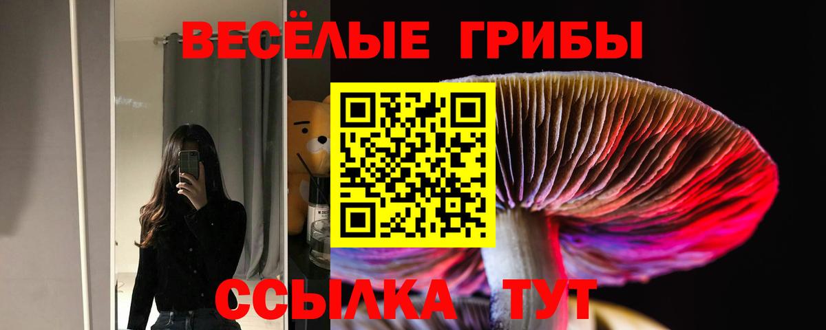 Галлюциногенные грибы прущие грибы Чапаевск
