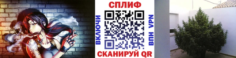 Шишки марихуана ГИДРОПОН  купить наркотики цена  Чапаевск 
